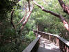 Gumbo Limbo Nature Center
