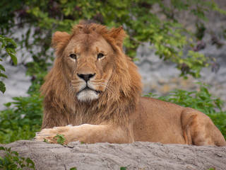 Warszawskie Zoo in Warschau &copy; Leszek.Leszczynski